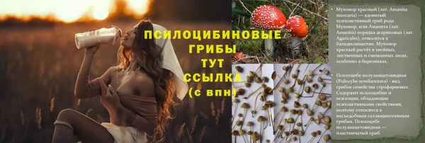 гидропоника Михайлов