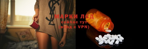 гидропоника Михайлов