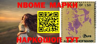 шишки Изобильный