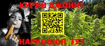 шишки Изобильный
