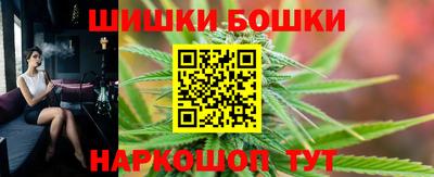 шишки Изобильный