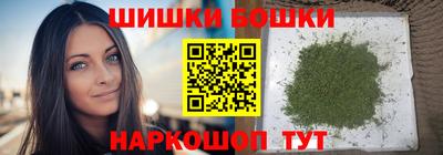 шишки Изобильный