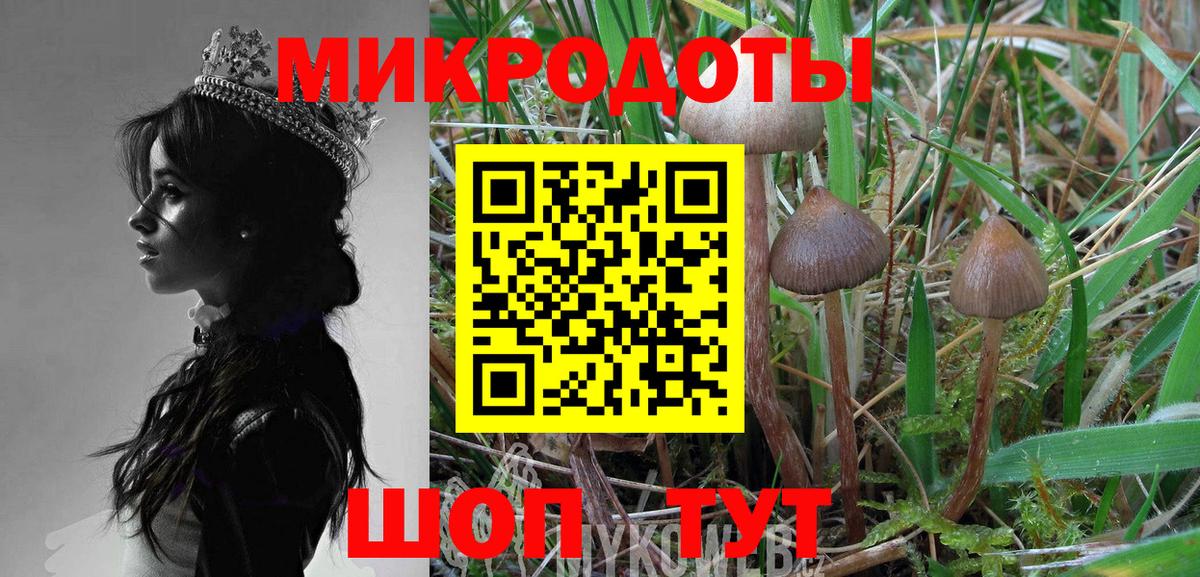 Псилоцибиновые грибы мицелий Красноярск