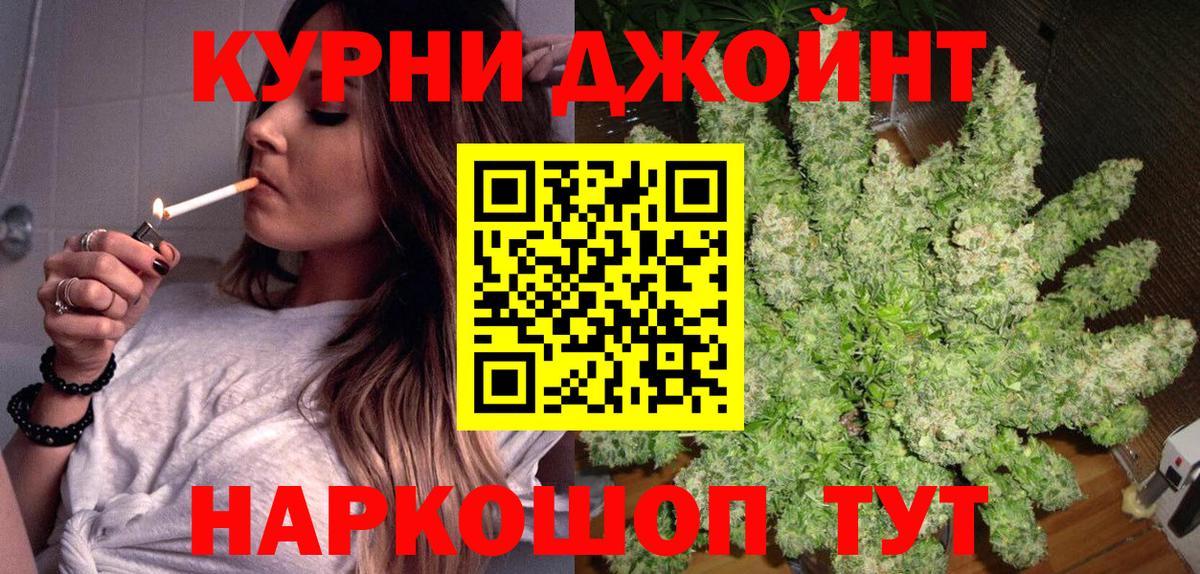 Каннабис OG Kush Красноярск